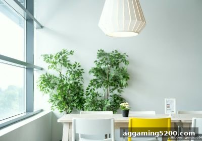 jdb电子爆奖波胆策略：从精确比分到泰达币的赢家路径