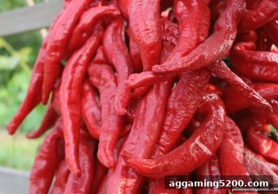 jdb电子爆奖解密：万人推牌九积分奖励计算全攻略